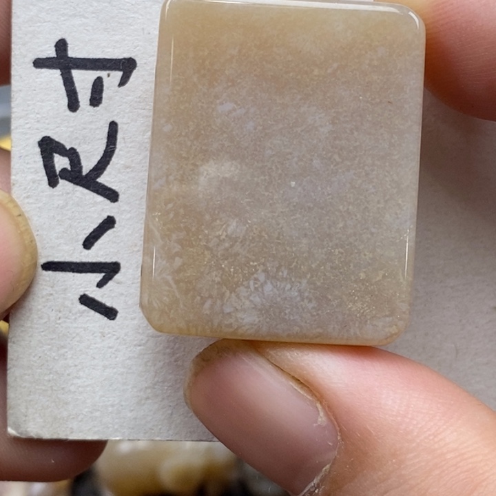 硅化珊瑚（珊瑚玉）未镶嵌颈饰