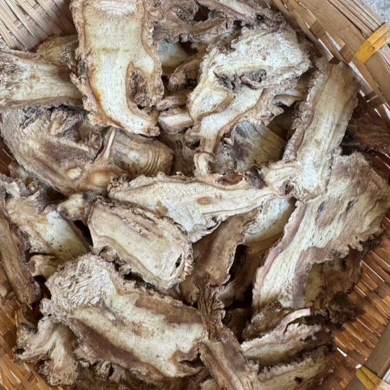 甘肃高原当归头片 无硫无添加剂