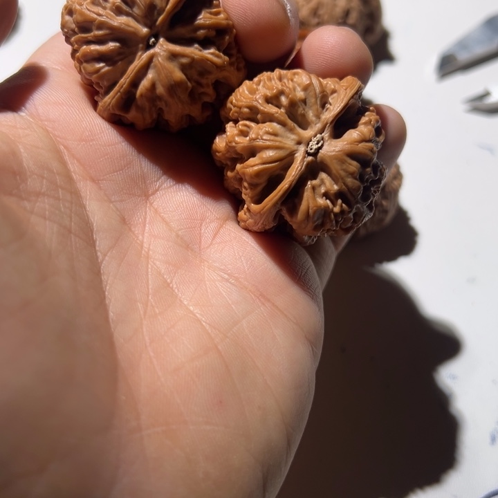 随***風把件文玩核桃粗筋