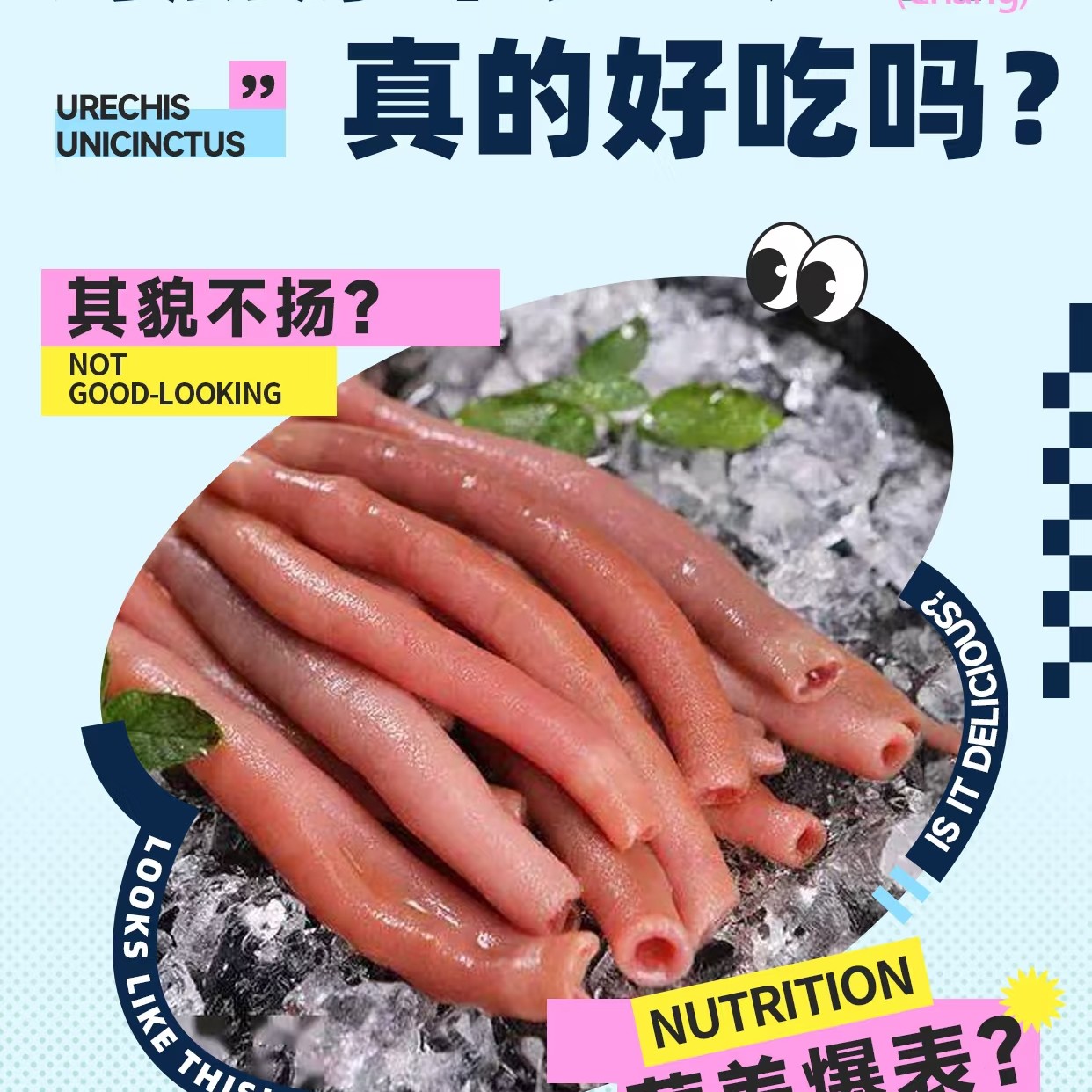 大连本地海肠3袋。1袋200g左右