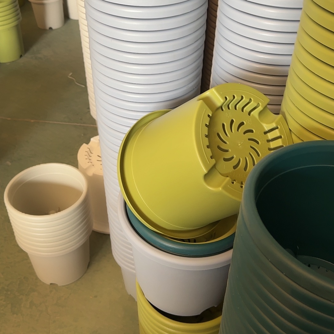 树脂四季4号无托5个白色