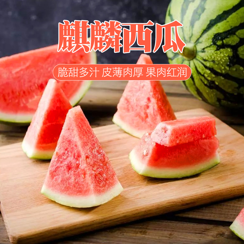 【坏果包赔】一包糖麒麟西瓜10-12斤
