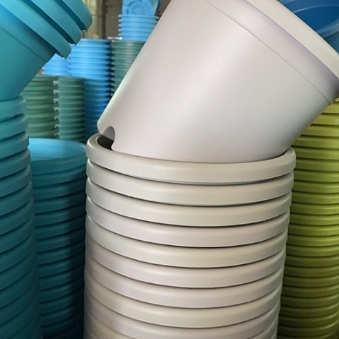 树脂四季4号灰白无托8个