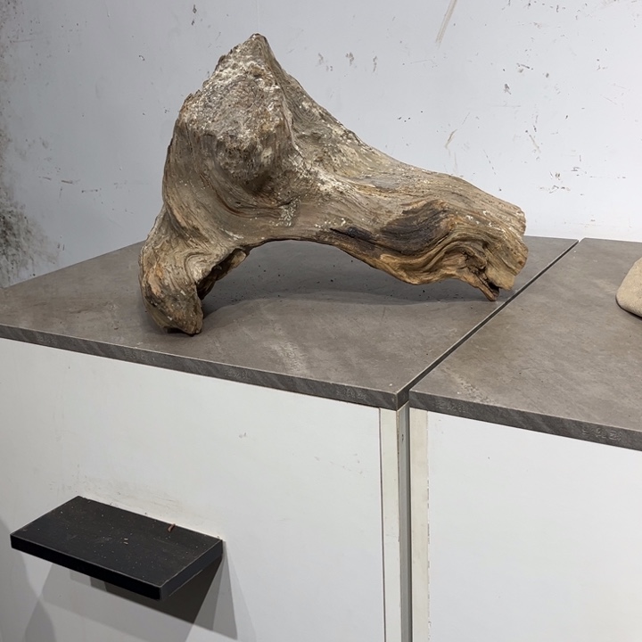 柏***趣柏木崖柏等自然资源和生态资源丰富多彩