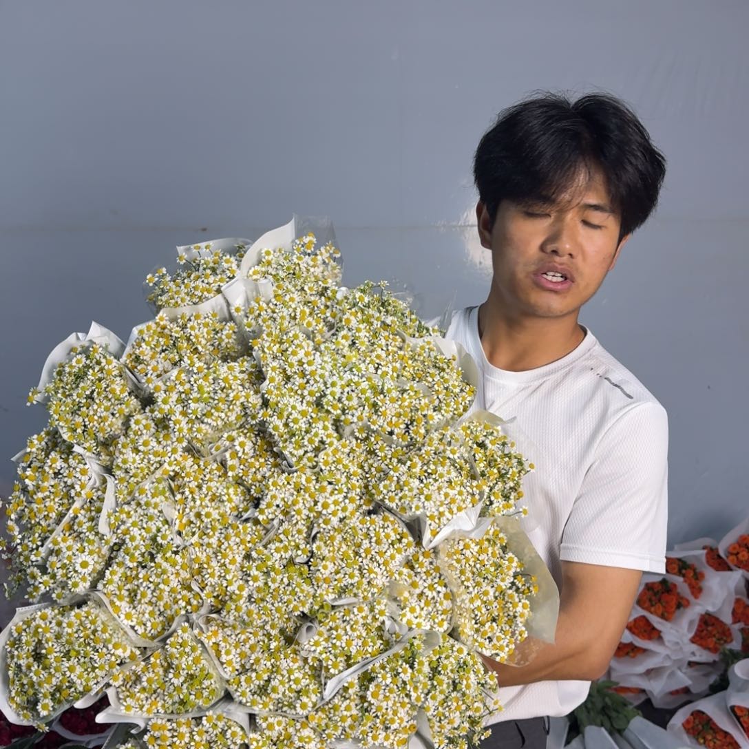 洋甘菊10扎包邮价秒杀