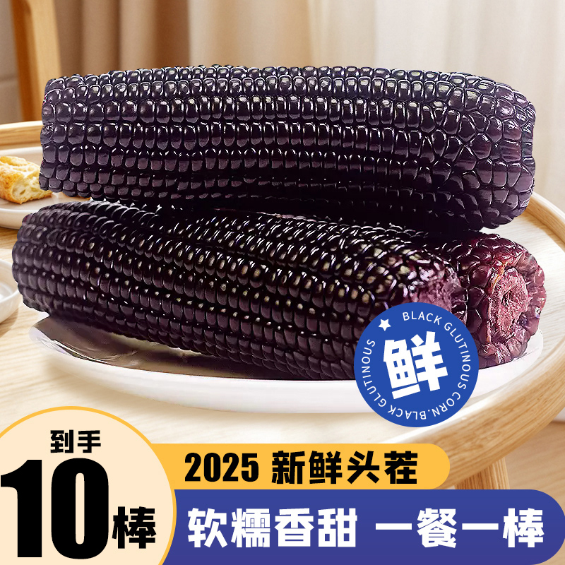 【试吃2根】黑糯玉米2025新货正宗东北黑糯玉米血糯米真空180g-200g