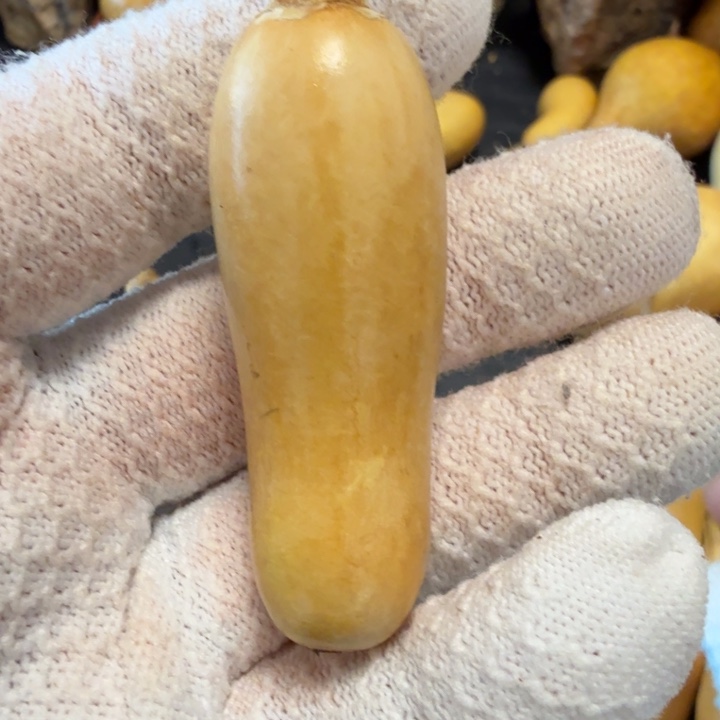 地***产6666666666666666667