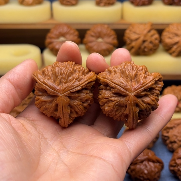 42白狮子正奔三棱