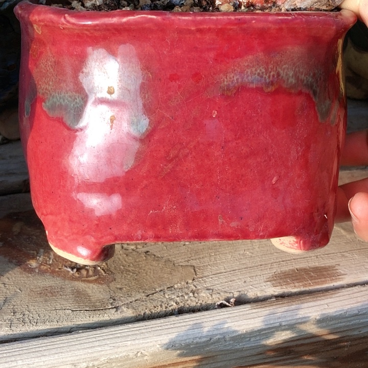 【闪购商品】名****艺名山盆