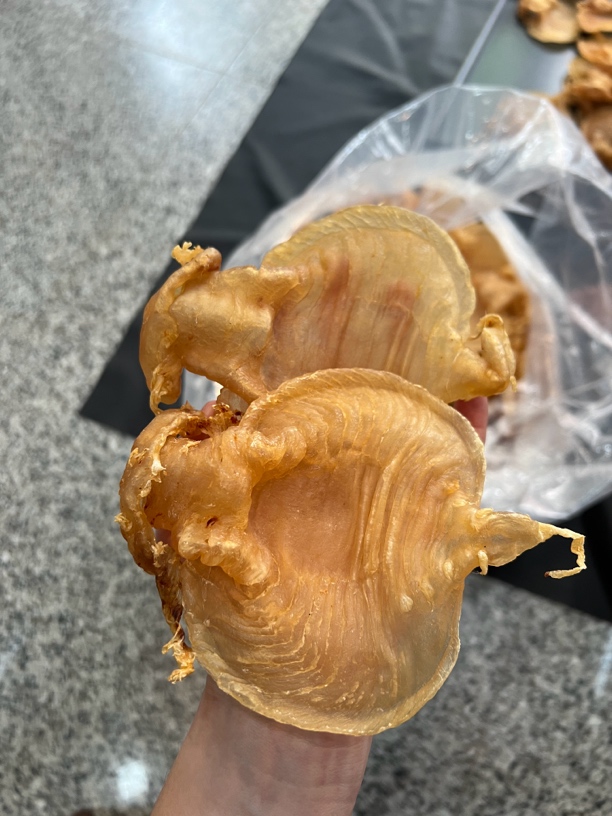 本港赤嘴母鱼胶高货厚肉11头规格花胶干货