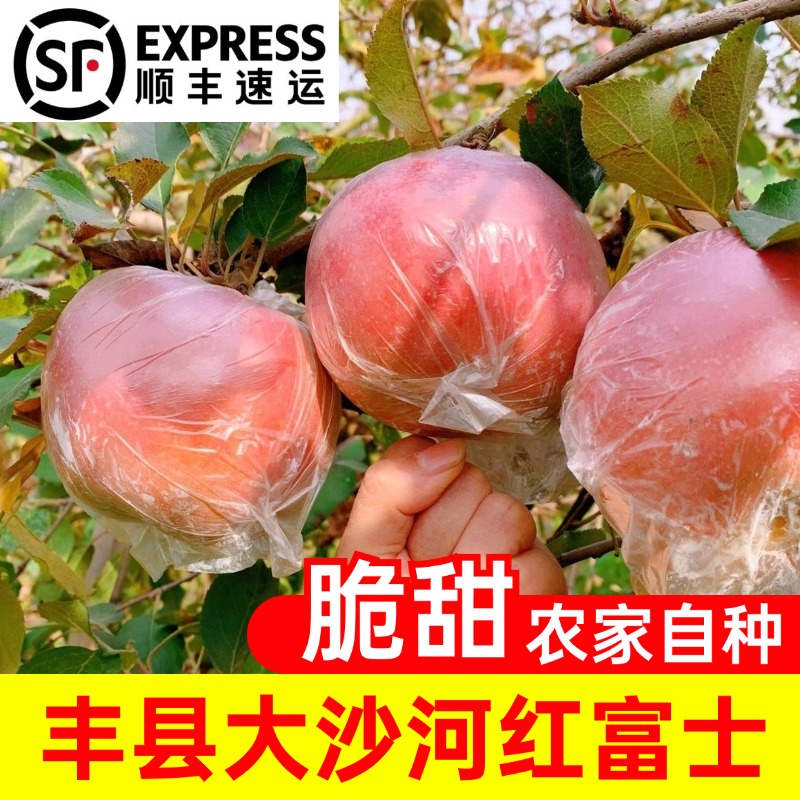 【顺丰】新鲜红富士苹果丰县大沙河苹果应季水果正宗红富士脆甜多汁