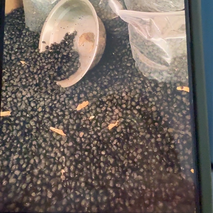 黑豆中国大陆豆豉两斤