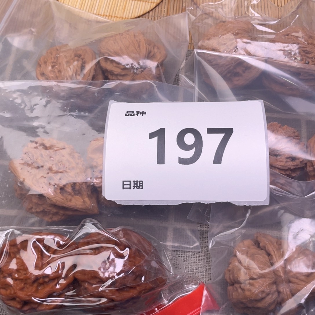 文玩核桃把件197号6对带练手蛙