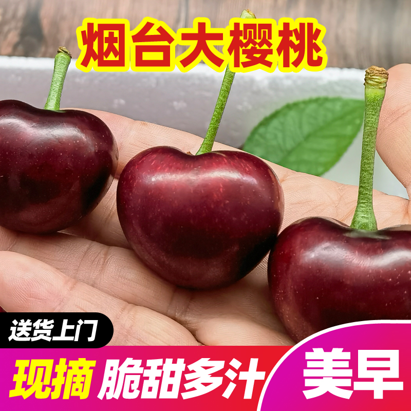 【牟书记助农】烟台美早大樱桃2-3斤产地直发新鲜甜车厘子当季水果