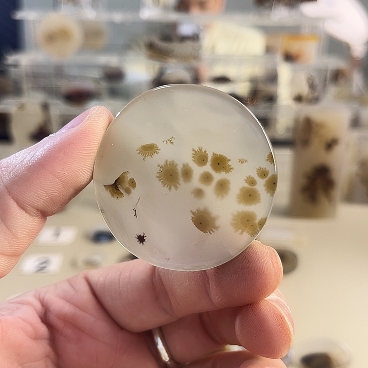 玛瑙/玉髓吊坠(不含链)未镶嵌