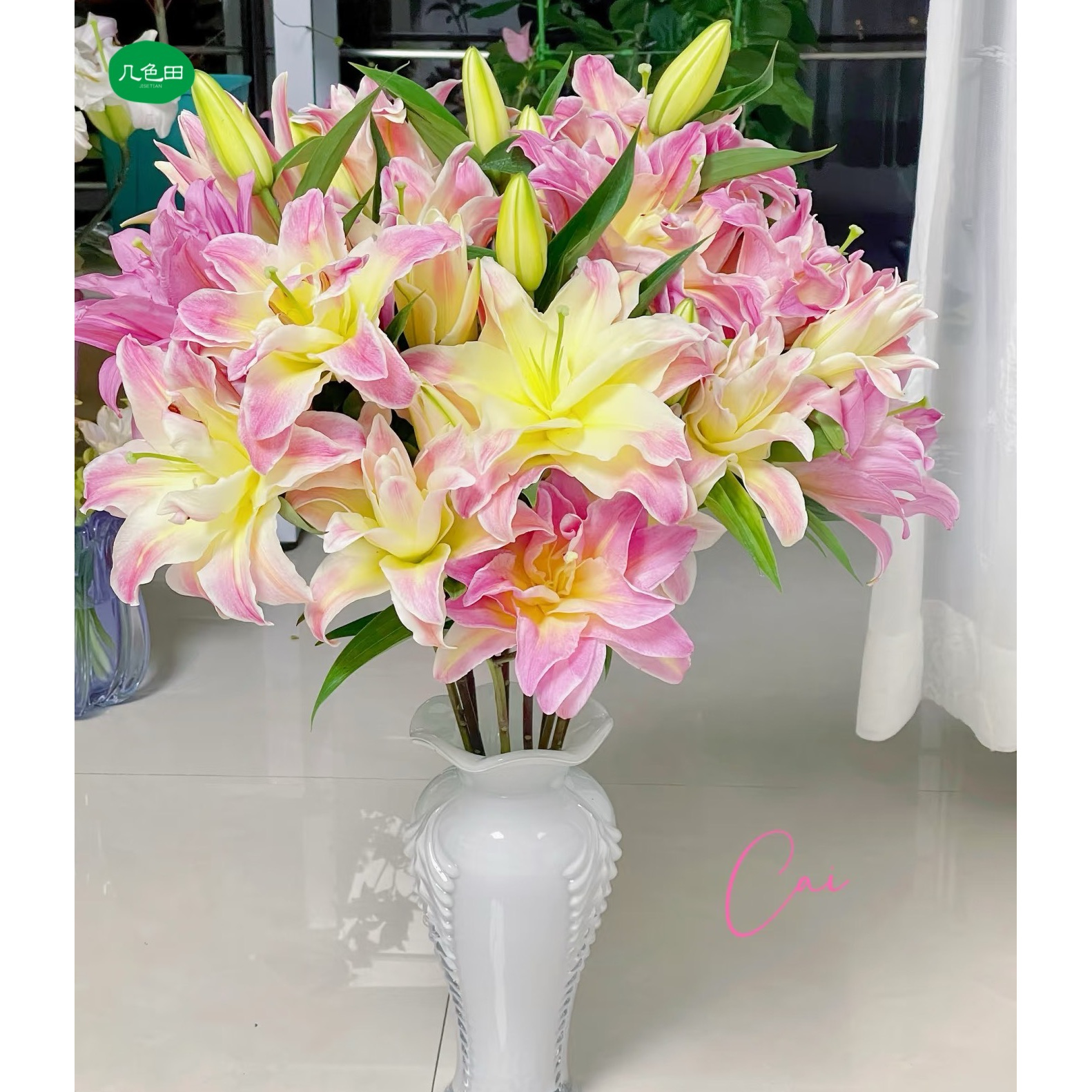 【夏日耐养】多头彩虹糖----重瓣百合云南直发鲜花