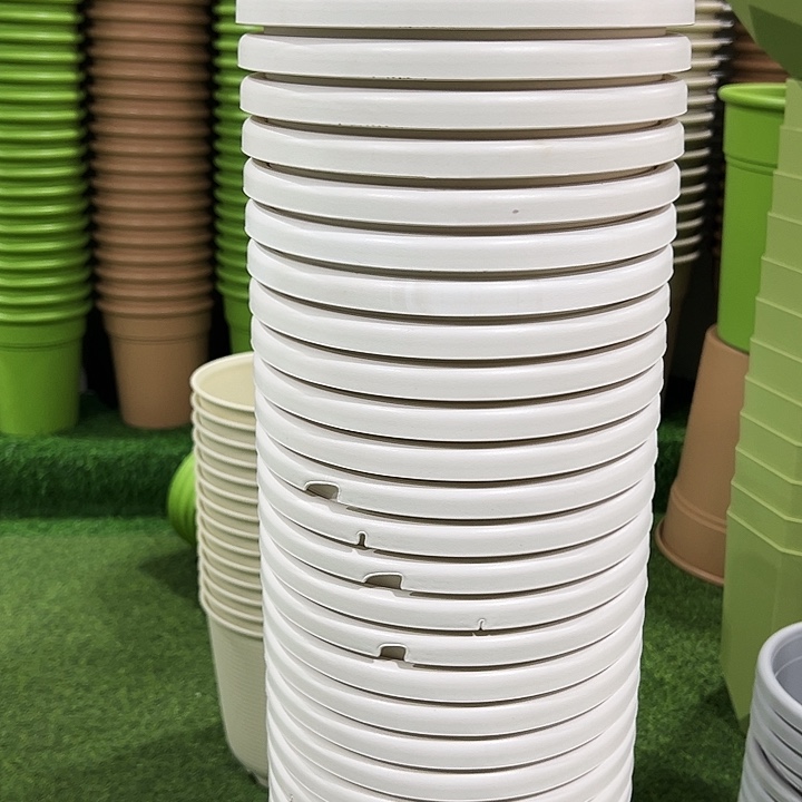 微瑕3号四季口21高18白色11个无托