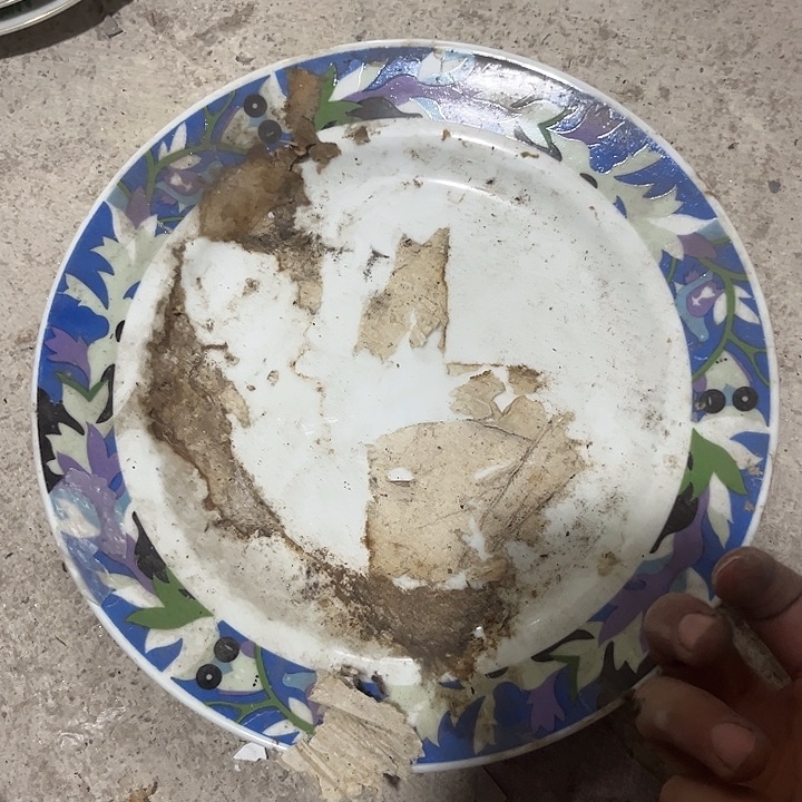 哈哈哈哈哈哈哈哈姐