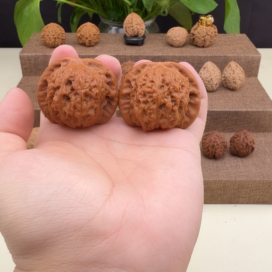 血麒麟打底42/40/35