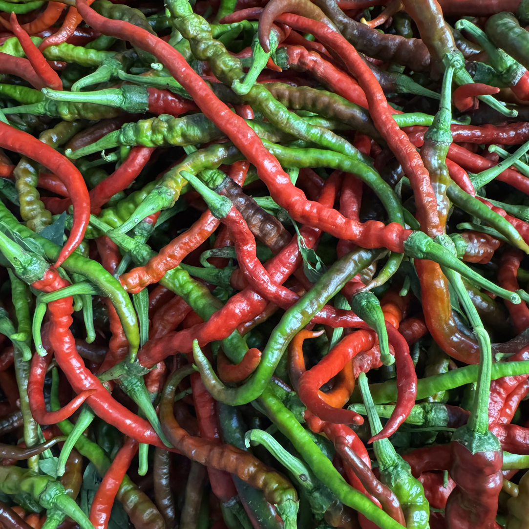 【农家土辣椒】山区农家老品种本地辣椒土辣椒又香又辣又入味