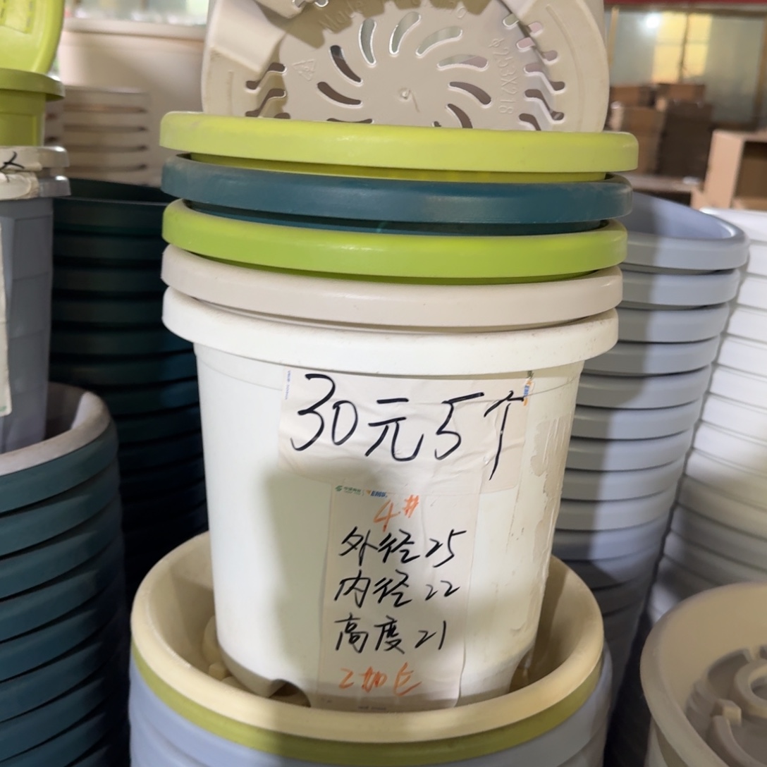 四季4#口径25无拖果绿8个