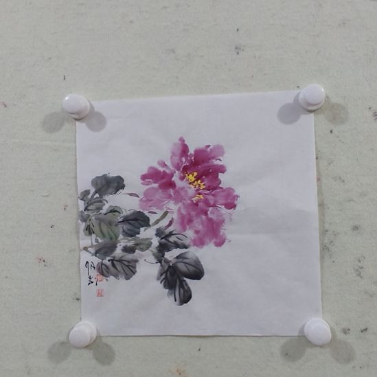 国画中国画花鸟画