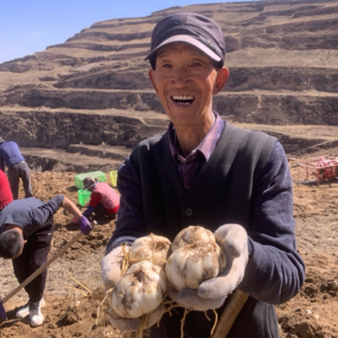 原生态现挖现发带根带土毛百合8-9年两头皇（可吃可种、顺丰包邮）