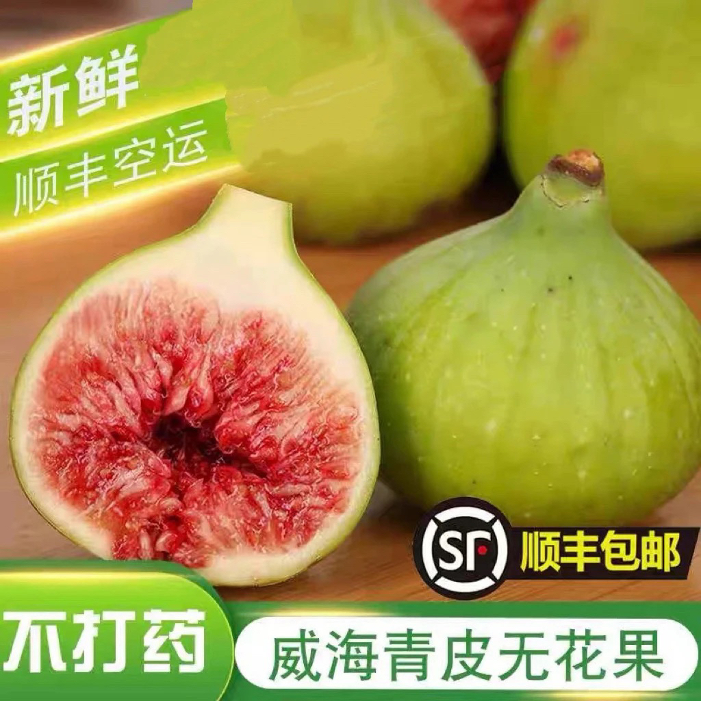 《小军严选》无花果 山东威海青皮无花果 流蜜树膜及大小没售后（签收十小时内检查）