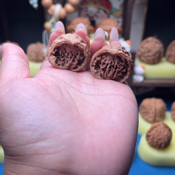 木质31尺寸盘山蛇头