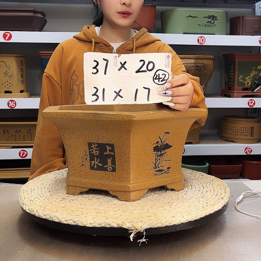 紫砂花盆紫砂花盆