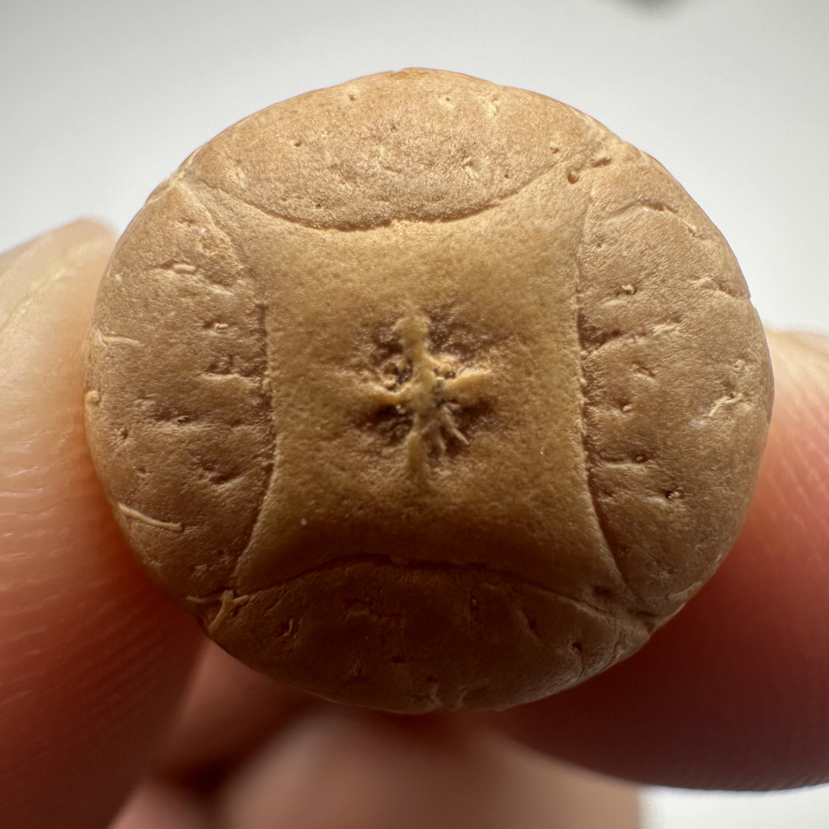 尼泊尔麒麟眼菩提，尺寸15，福利系列