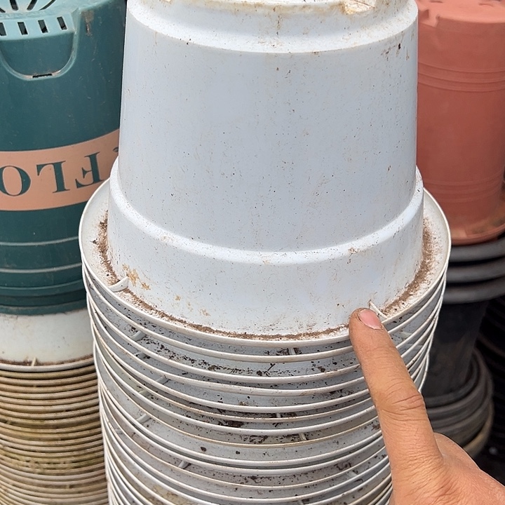 白色圆盆口径20高14发12个