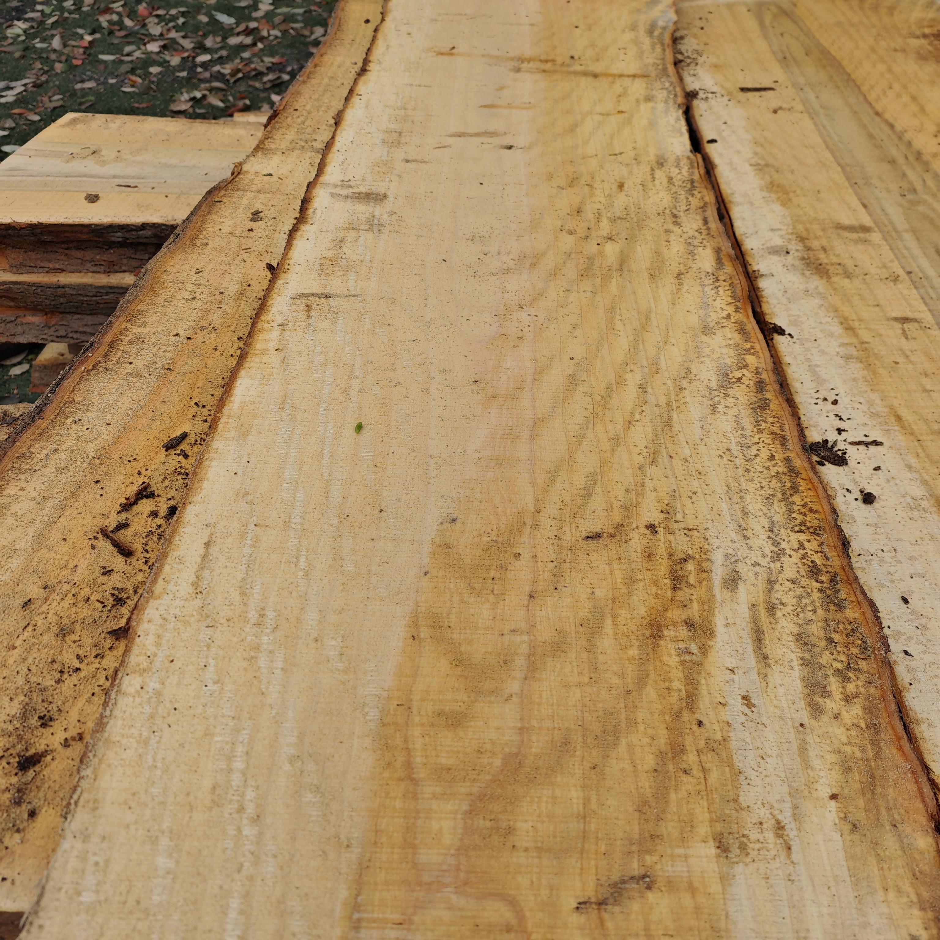 基础建材  木板  方