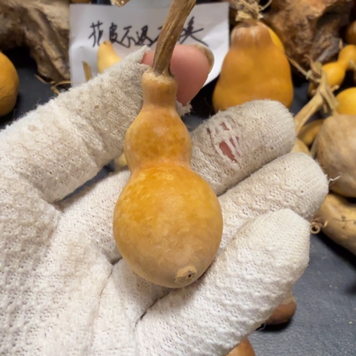 天***枢7666777777777888888