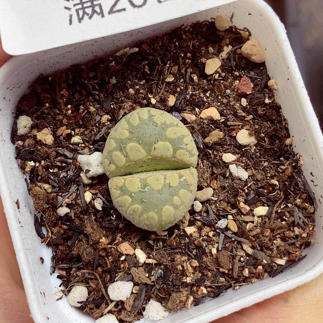 我们一起暴富吧094