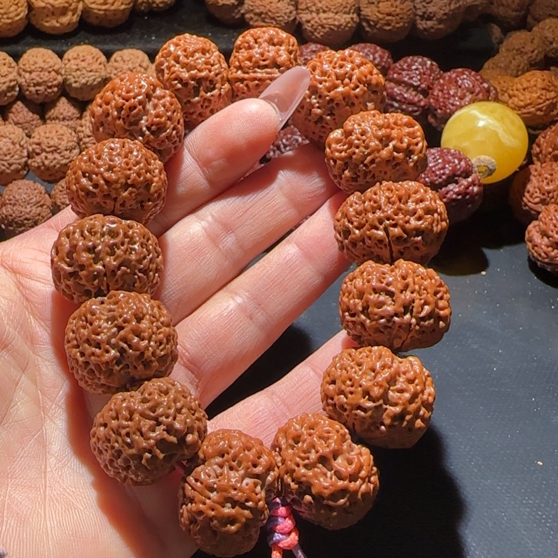 金刚菩提手串23峰王