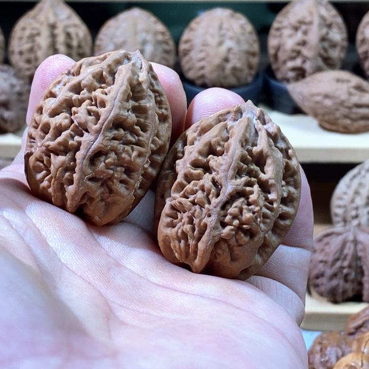 文玩核桃把件老珊瑚