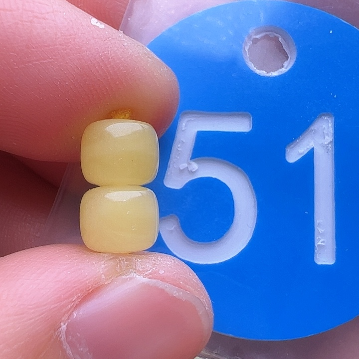 蜜蜡裸石未镶嵌6.5m m
