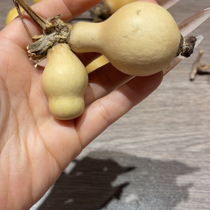 代***硕葫芦葫芦葫芦葫芦