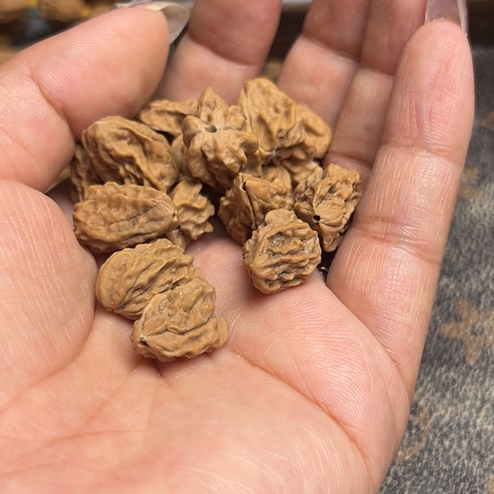 佛***說吊坠桃核蛤蟆小异