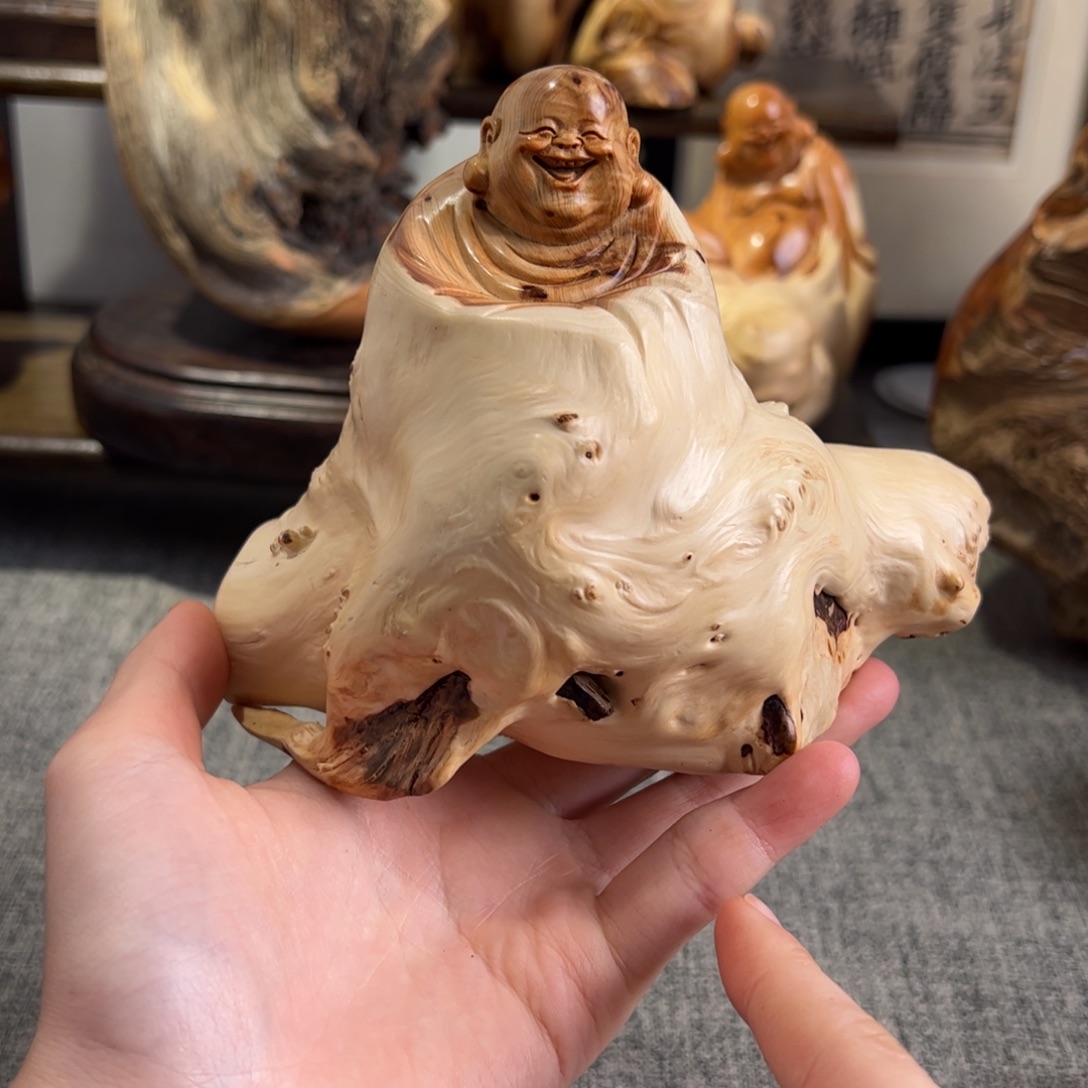 柏木（崖柏）关注一下