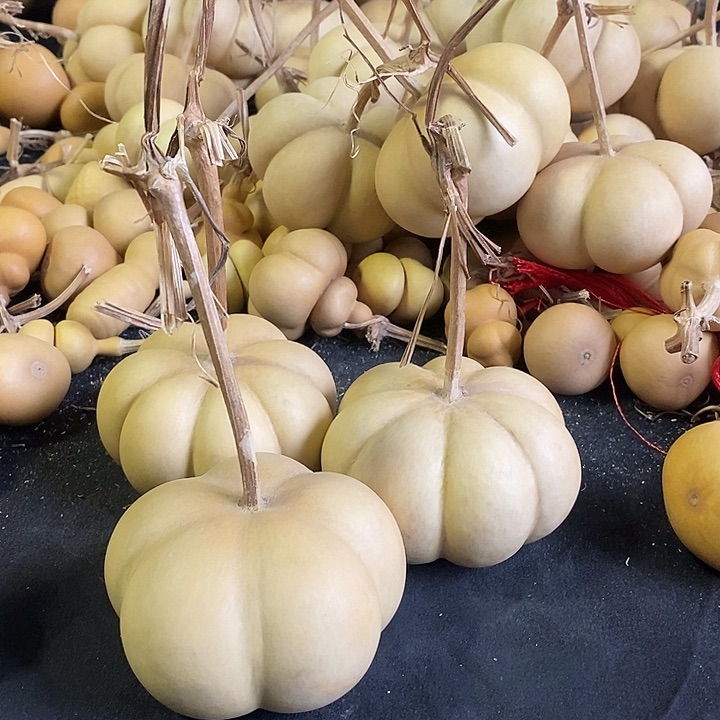 柠*.葫芦的颜色很好看