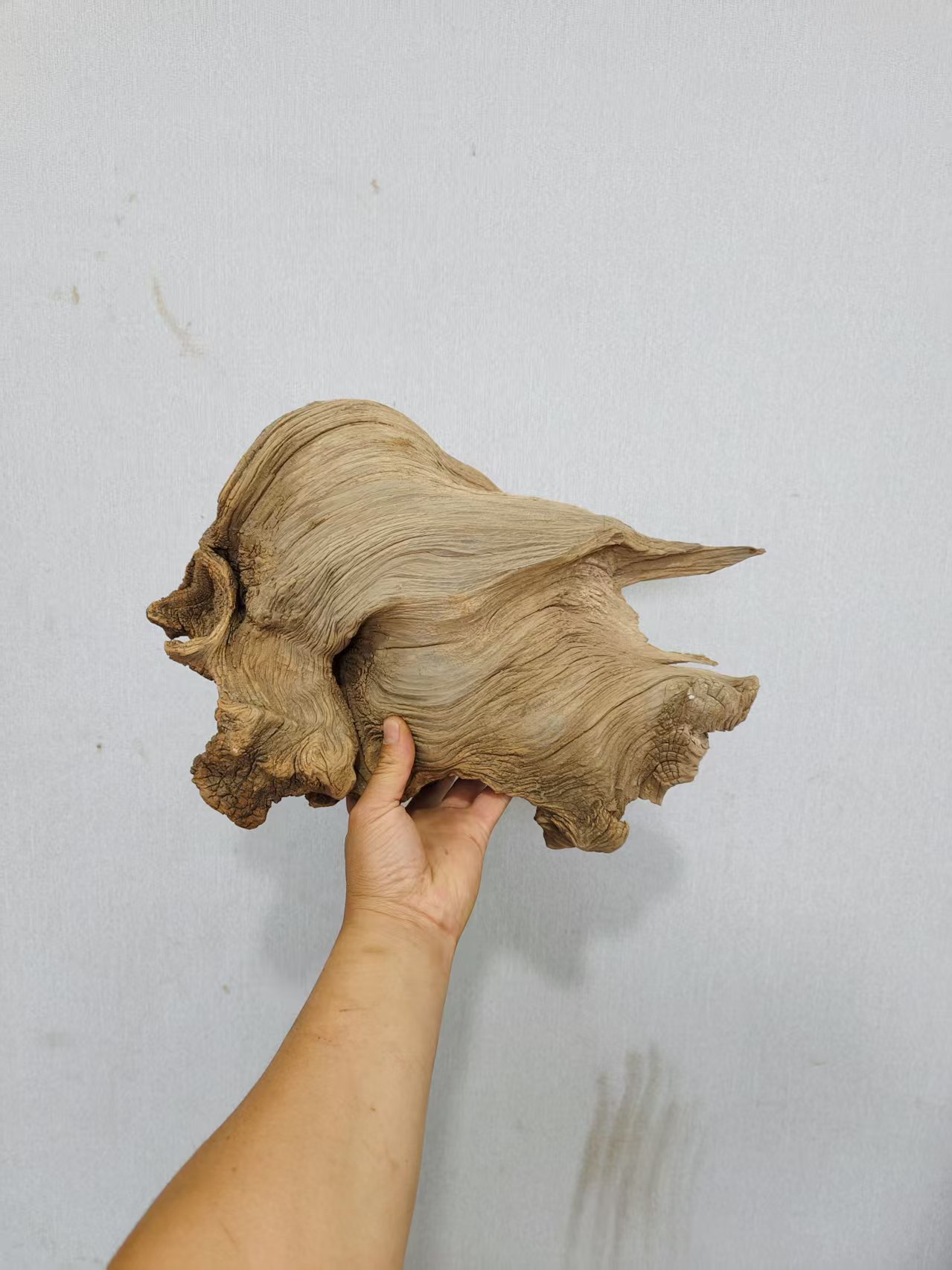 太行山悬崖上的柏木摆件陈化料双色料瘤花料手把件坨坨料