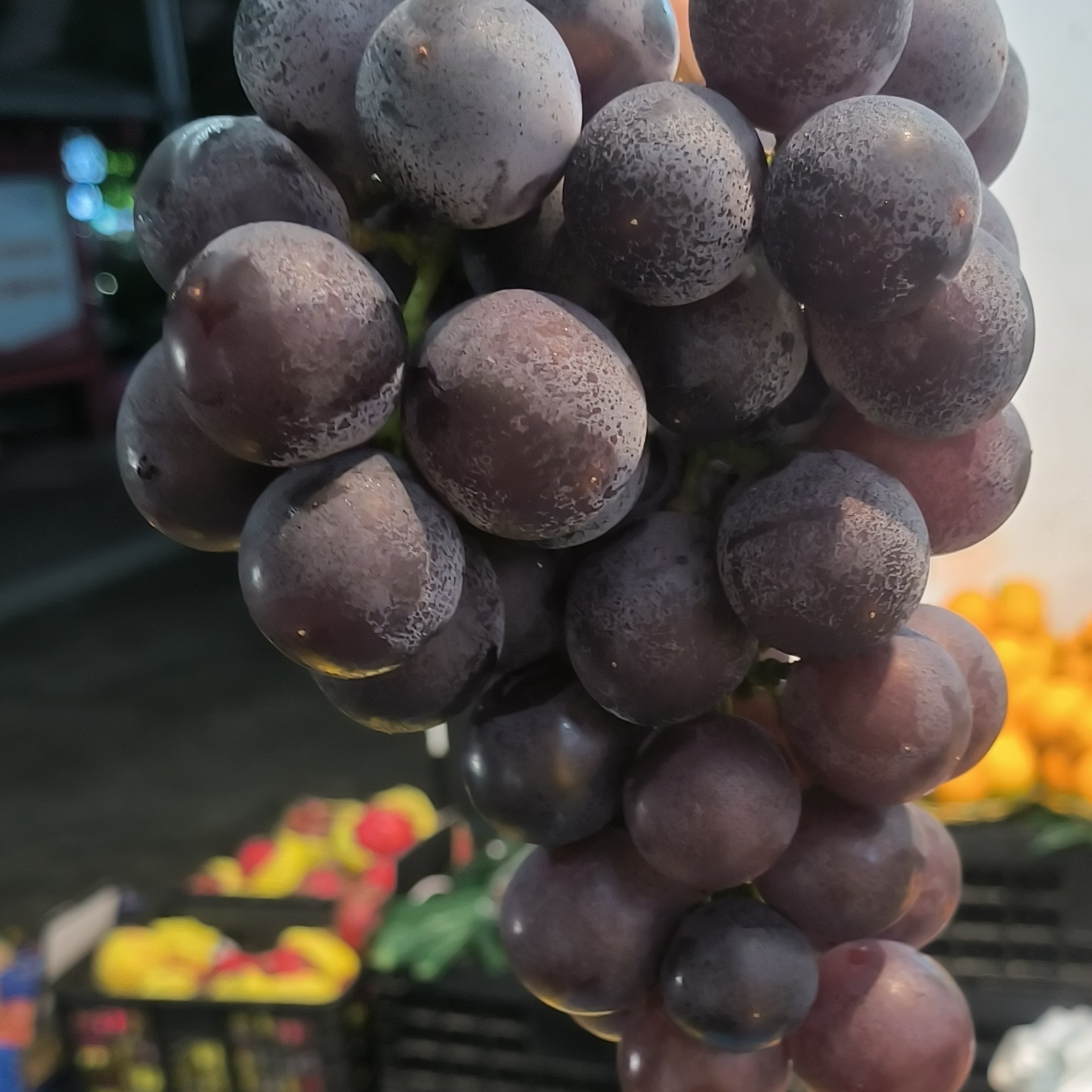 【新春福利】天山巨峰葡萄（10元两斤）上海市