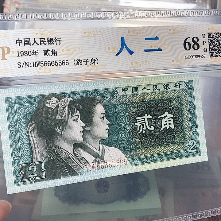 数二56665565，，，，，，