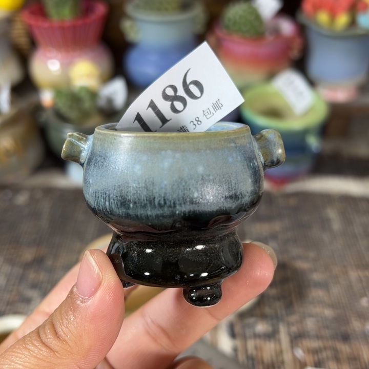 口3 未满30运费到付