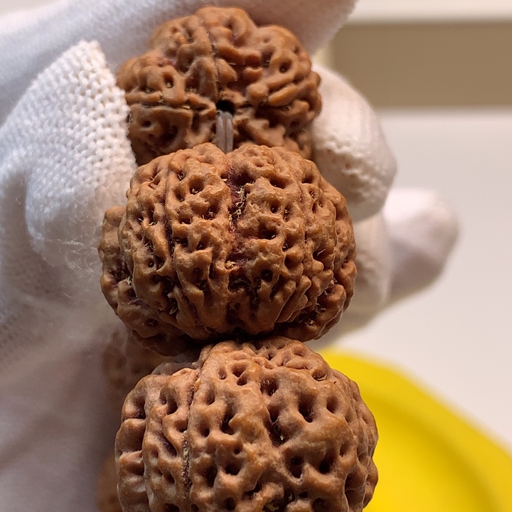 吊坠金刚菩提奶*23尺寸梅花双龙