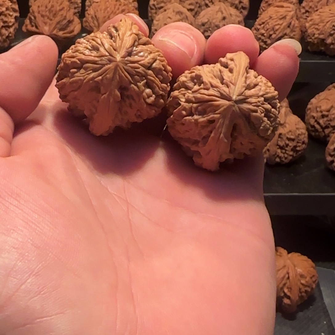 桃核把件涿鹿拉丝凹底38