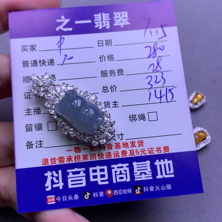 翡翠颈饰银S925镶嵌*️****