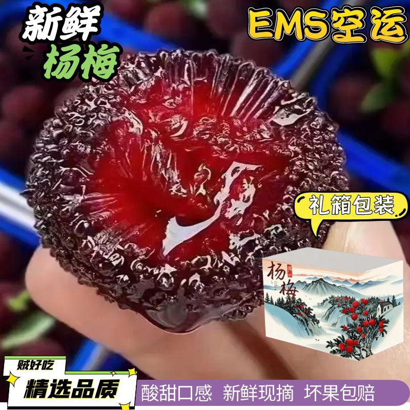 [现货]福建杨梅鲜果现摘现发新鲜水果荸荠杨梅非东魁应季水果